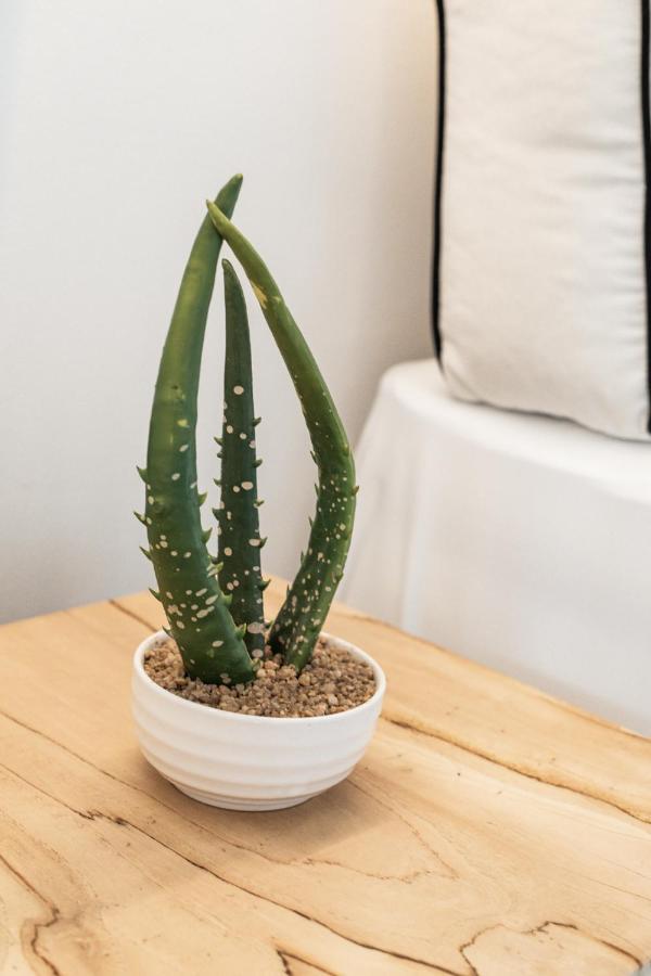 She Mykonos - Luxury Apartamento